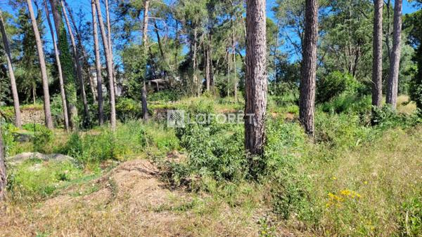 Achat terrain Castelnau-le-Lez - 727 m² - 499 000 €