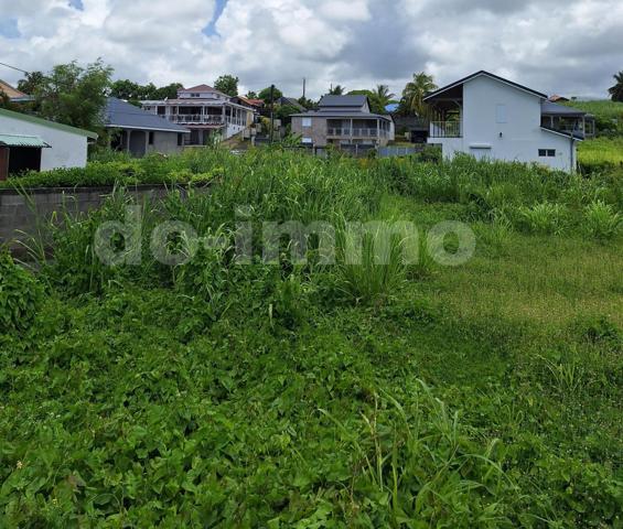 Terrain 644m 2 CAPESTERRE BELLE-EAU