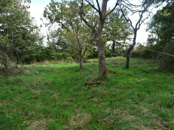 Vente Maison80 m² - 3 Pièces - SAINT PIERRE LES BOIS (18170)