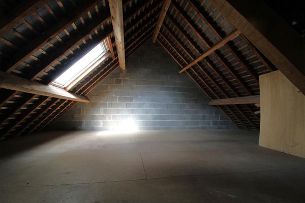 CHAUMONT SUR LOIRE - 20 KM DE BLOIS - 20 KM D'AMBOISE