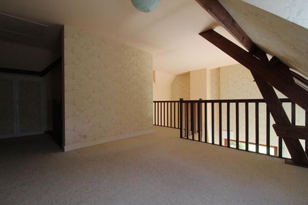 CHAUMONT SUR LOIRE - 20 KM DE BLOIS - 20 KM D'AMBOISE