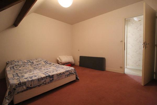 CHAUMONT SUR LOIRE - 20 KM DE BLOIS - 20 KM D'AMBOISE