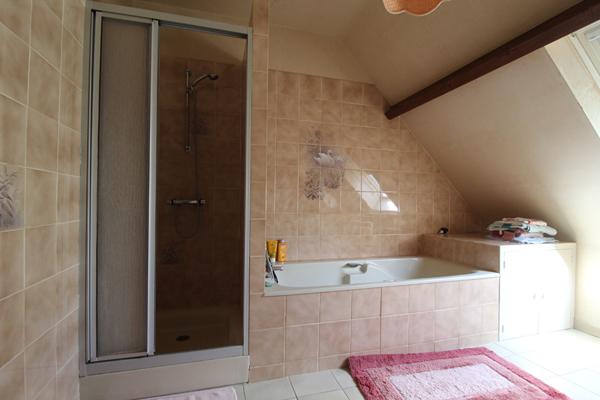 CHAUMONT SUR LOIRE - 20 KM DE BLOIS - 20 KM D'AMBOISE