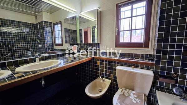 Maison 8 pièces - 233 m² Bien prestige