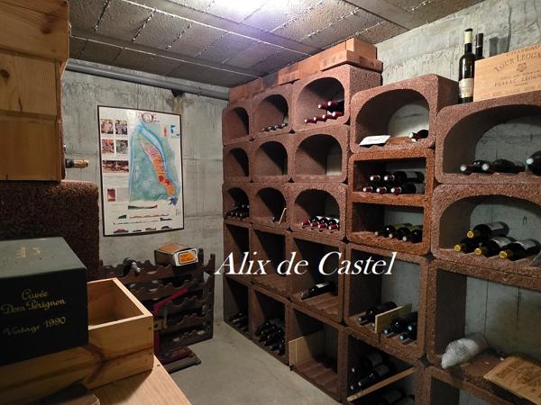 GUERANDE (44350) Maison 9 pièces 275 m2