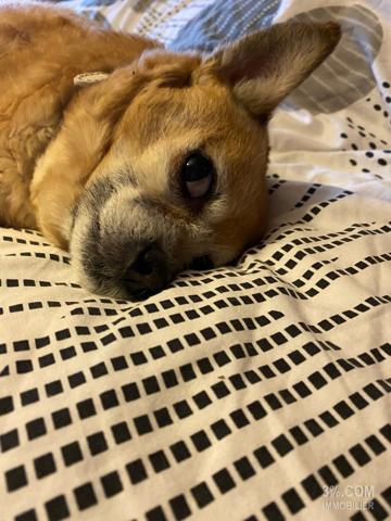 3%.COM Maison à rénover dans le Kochersberg Berstett (67370)