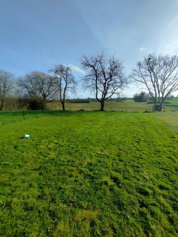 Charmante longère mitoyenne avec terrain !