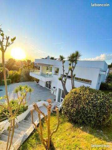 Le Cannet (06110) Villa LAS PALMAS de style californien avec piscine et jardin exotique