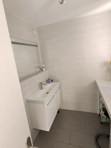 Le Cannet (06110) Villa LAS PALMAS de style californien avec piscine et jardin exotique