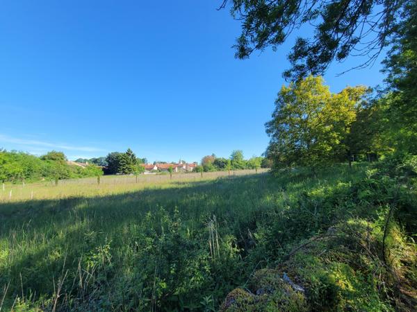 Terrain 2968m²
