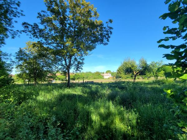 Terrain 2968m²