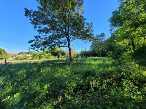 Terrain 2968m²