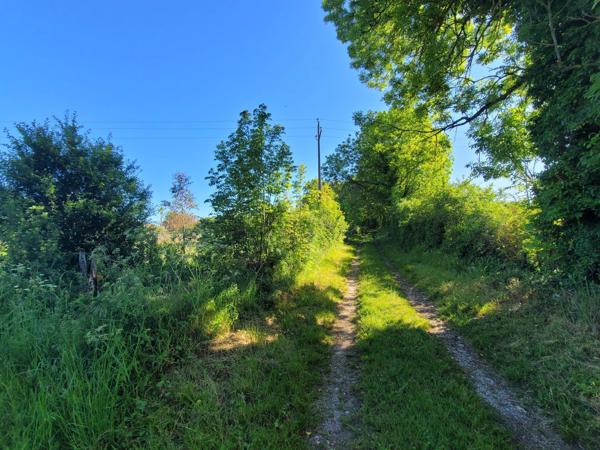 Terrain 2968m²
