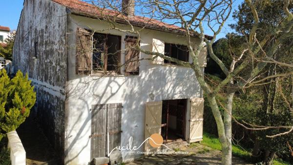 BIEN RARE À Biarritz – Quartier de la Milady