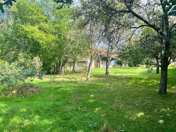 Ancienne ferme rénovée de 123 m2 sur un terrain clos de 25 ares