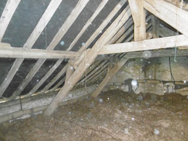 Maison 2 ch Plain-pied Campagne Sans vis à vis Dépendances 1850 m2 de terrain