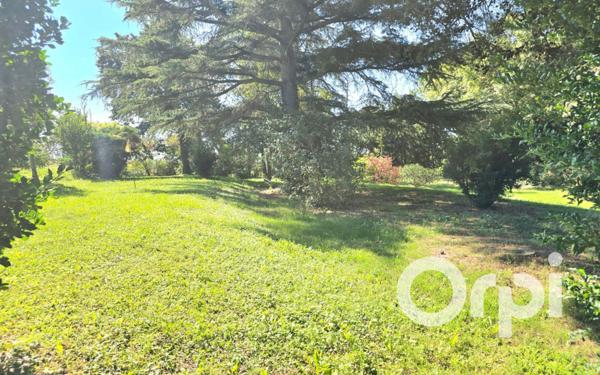 Maison à vendre    11 pièces •  Saint-Martin-de-Crau