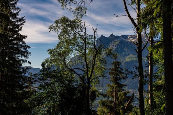 Vente Chalet de luxe Saint-Gervais-les-Bains 7 Pièces 138 m²
