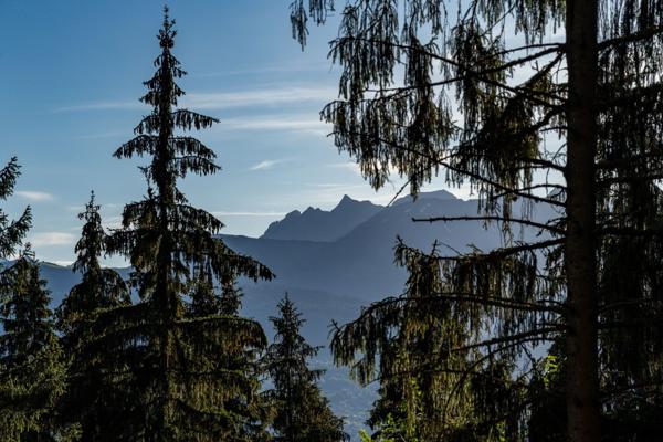 Vente Chalet de luxe Saint-Gervais-les-Bains 7 Pièces 138 m²