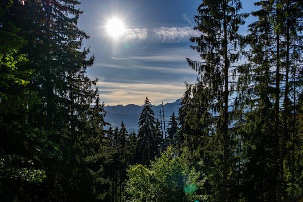 Vente Chalet de luxe Saint-Gervais-les-Bains 7 Pièces 138 m²