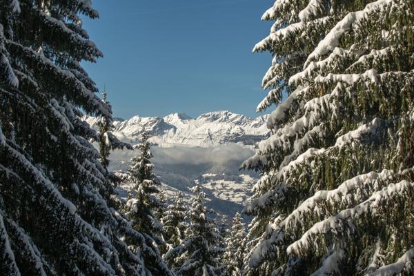 Vente Chalet de luxe Saint-Gervais-les-Bains 7 Pièces 138 m²