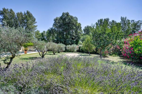 Vente Maison de luxe Saint-Rémy-de-Provence 6 Pièces 268 m²