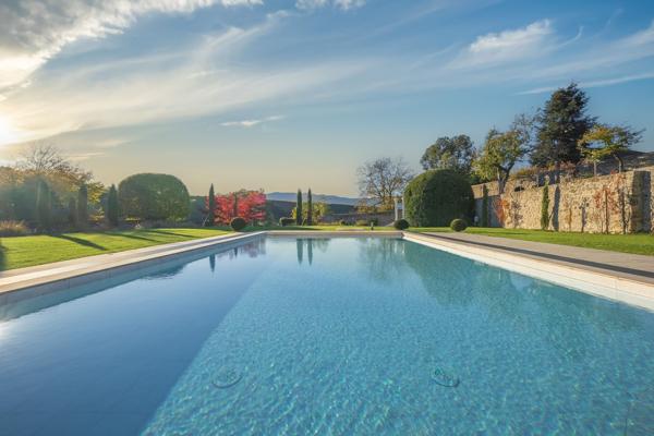 Vente Château Saint-Julien-en-Genevois 18 Pièces 1077 m²