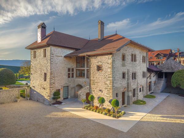 Vente Château Saint-Julien-en-Genevois 18 Pièces 1077 m²
