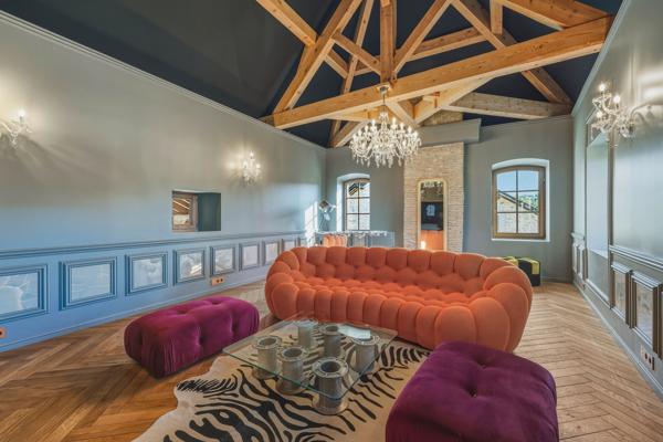 Vente Château Saint-Julien-en-Genevois 18 Pièces 1077 m²