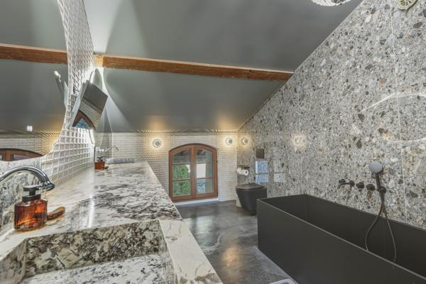 Vente Château Saint-Julien-en-Genevois 18 Pièces 1077 m²
