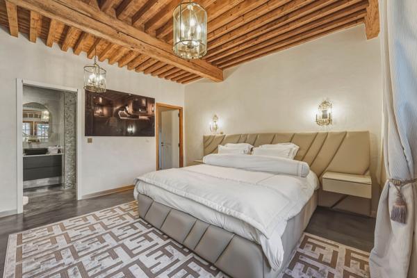 Vente Château Saint-Julien-en-Genevois 18 Pièces 1077 m²