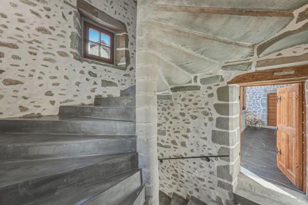 Vente Château Saint-Julien-en-Genevois 18 Pièces 1077 m²