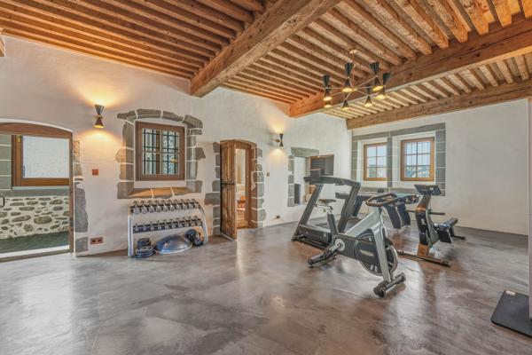 Vente Château Saint-Julien-en-Genevois 18 Pièces 1077 m²