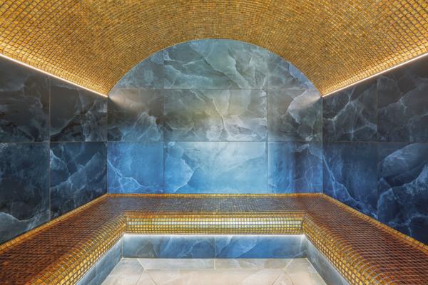 Vente Château Saint-Julien-en-Genevois 18 Pièces 1077 m²