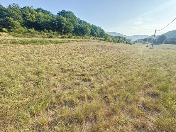 Saint-Affrique (12400) Terrain à lotir dans quartier prisé - Parfait investisseur !