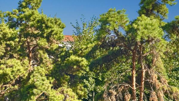 A VENDRE 2P 34M2 BON ETAT MAIRIE COEUR DE VILLE ALFORTVILLE