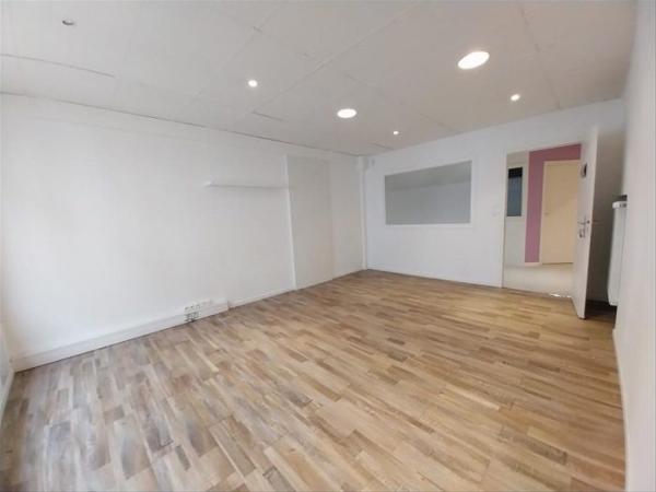 Local professionnel Strasbourg 290 m²