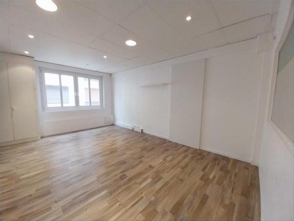 Local professionnel Strasbourg 290 m²