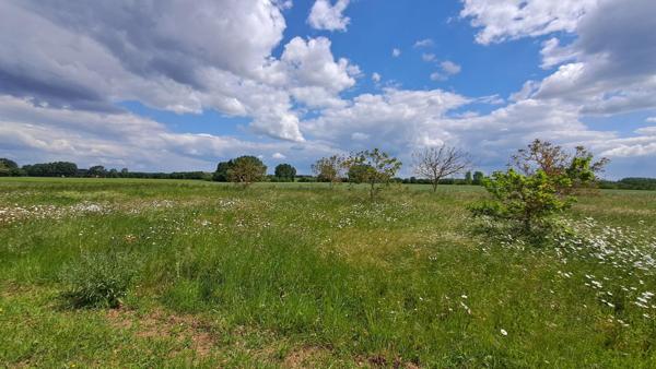 Terrain à bâtir 7838 m² à Bouillé-Courdault