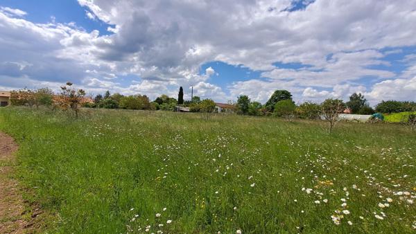 Terrain à bâtir 7838 m² à Bouillé-Courdault