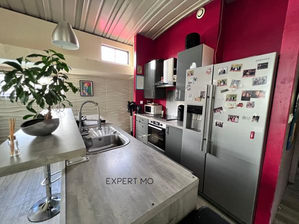 L'Île-Saint-Denis (93450) PENICHE LOGEMENT NAVIGABLE TYPE FREYCINET DE 150M² HABITABLES