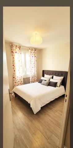 Appartement T3 Tours Beaujardin
