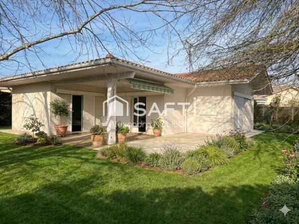 Volumes généreux et luminosité