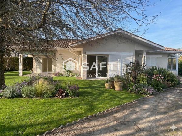 Volumes généreux et luminosité