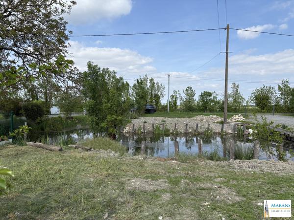 Maison rénovée de 140m² -Nichée au coeur de la nature
