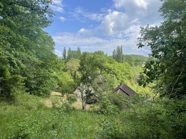 Maison ancienne - Montignac-lascaux En Périgord Noir, à quelques minutes à pieds d'un charmant village et de la rivière Vézère, cette maison ancienne, sa grange et son four à pain méritent quelques travaux qui en feront un pied à terre aussi confortable que modeste.