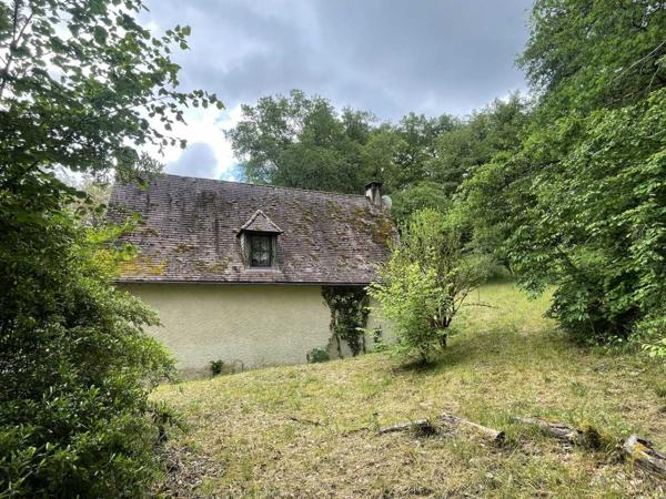 Maison ancienne - Montignac-lascaux En Périgord Noir, à quelques minutes à pieds d'un charmant village et de la rivière Vézère, cette maison ancienne, sa grange et son four à pain méritent quelques travaux qui en feront un pied à terre aussi confortable que modeste.
