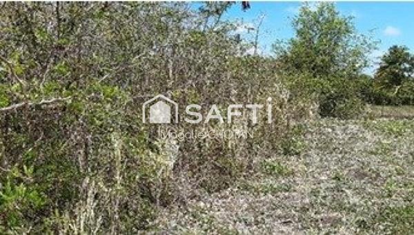 Terrain à vendre de 1000m2