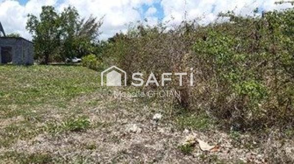 Terrain à vendre de 1000m2