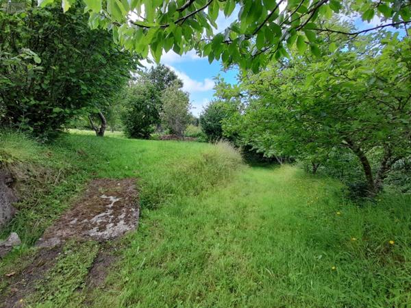 Maison à vendre à Lanvéoc dans le Finistère (29160), ref : A202400212